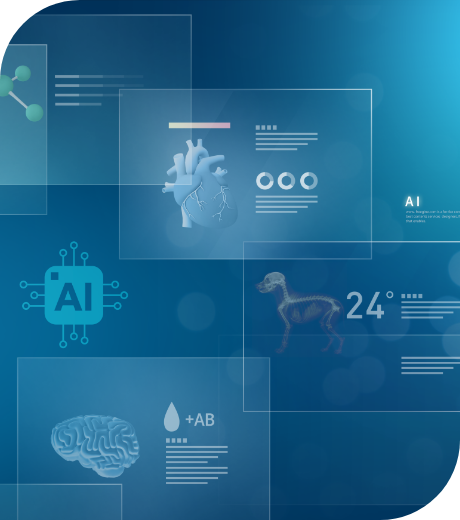 AI 반려동 건강진단